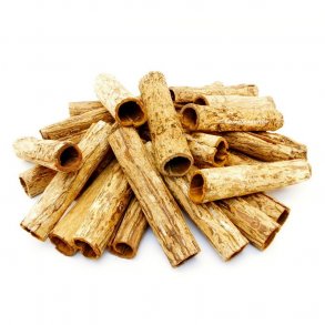 Catappa/Ketapang rr XL, 1 stk