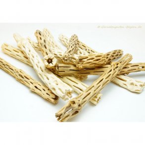 Vuka/Cholla tr (sandblst), 1 stk