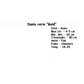 Danio rerio 