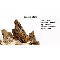 Dragon Stone