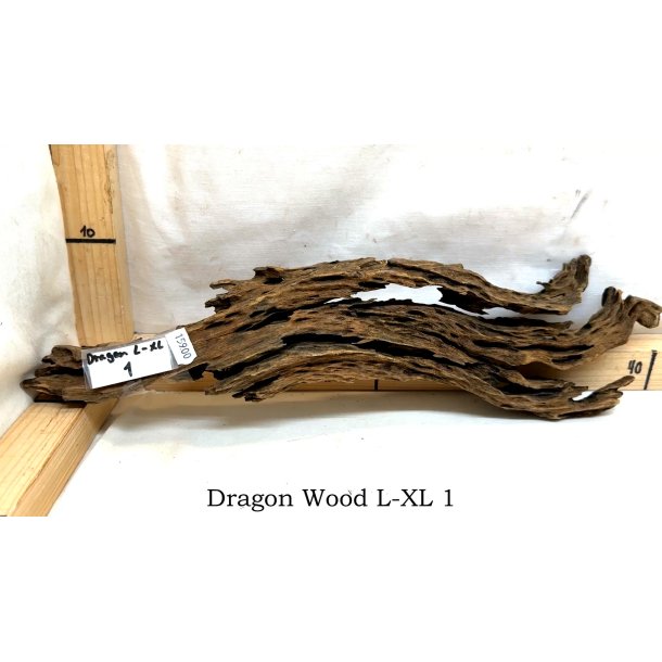 Dragon Wood Large-XLarge (WYSIWYG)