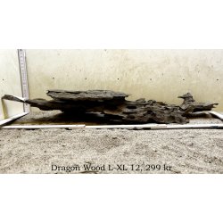 Dragon Wood Large-XLarge (WYSIWYG)