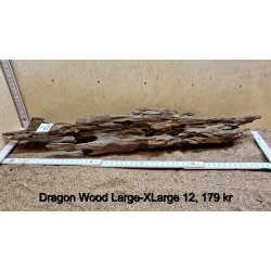 Dragon Wood Large-XLarge (WYSIWYG)