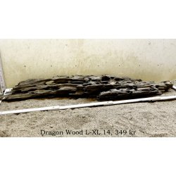 Dragon Wood Large-XLarge (WYSIWYG)