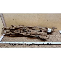 Dragon Wood Large-XLarge (WYSIWYG)