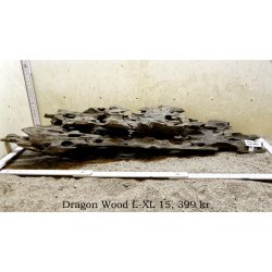 Dragon Wood Large-XLarge (WYSIWYG)