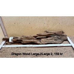 Dragon Wood Large-XLarge (WYSIWYG)