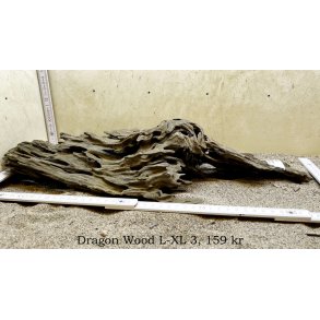 Dragon Wood Large-XLarge (WYSIWYG)