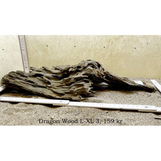 Dragon Wood Large-XLarge (WYSIWYG)