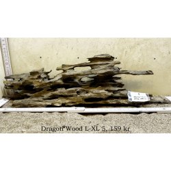 Dragon Wood Large-XLarge (WYSIWYG)