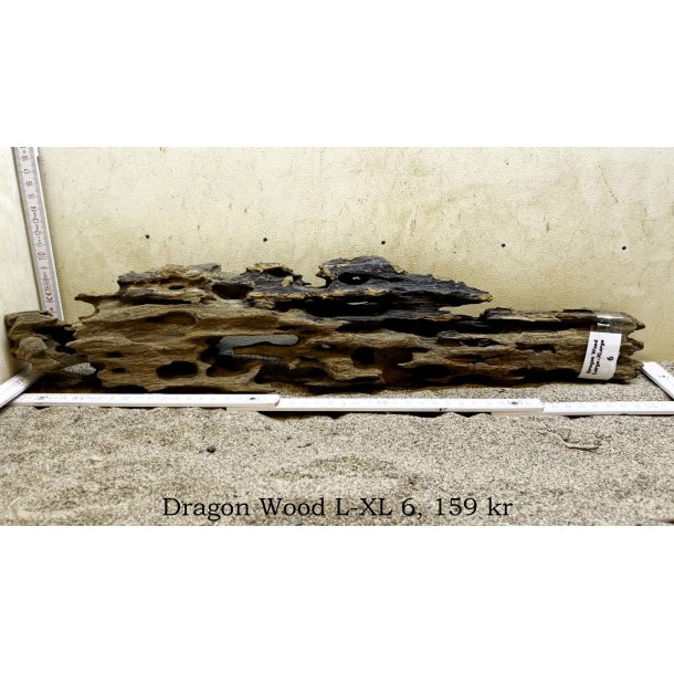 Dragon Wood Large-XLarge (WYSIWYG)