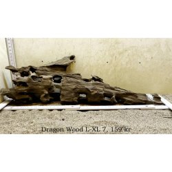 Dragon Wood Large-XLarge (WYSIWYG)