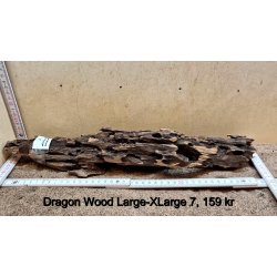 Dragon Wood Large-XLarge (WYSIWYG)