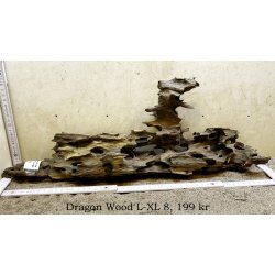 Dragon Wood Large-XLarge (WYSIWYG)
