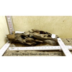 Dragon Wood Small-Medium (WYSIWYG)