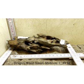 Dragon Wood Small-Medium (WYSIWYG)