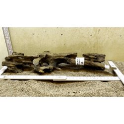 Dragon Wood Small-Medium (WYSIWYG)