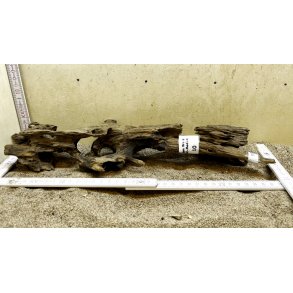 Dragon Wood Small-Medium (WYSIWYG)