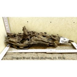Dragon Wood Small-Medium (WYSIWYG)