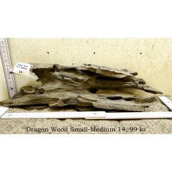 Dragon Wood Small-Medium (WYSIWYG)