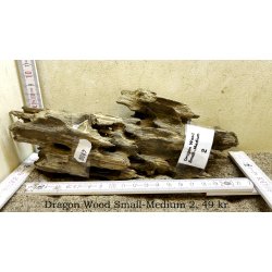 Dragon Wood Small-Medium (WYSIWYG)