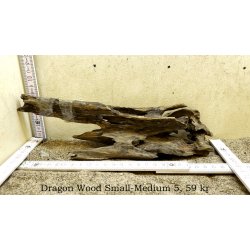 Dragon Wood Small-Medium (WYSIWYG)