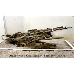 Dragonwood Opstilling (WYSIWYG)