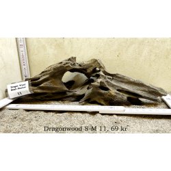 Dragon Wood Small-Medium (WYSIWYG)