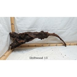 Driftwood (WYSIWYG)