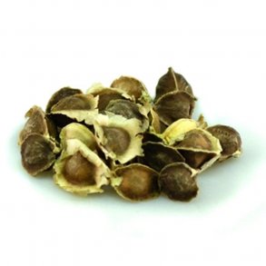 PowerNature - Moringa oleifera fr�, 5 stk