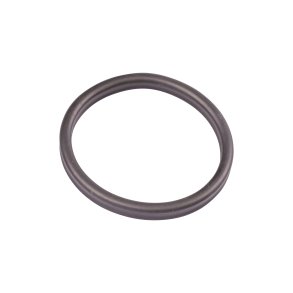 Oase Spare part prefilter gasket BioMaster (45149)