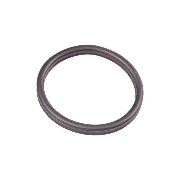 Oase Spare part prefilter gasket BioMaster (45149)