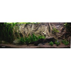 Fusion 900 L med RockZolid Forest Tree baggrund