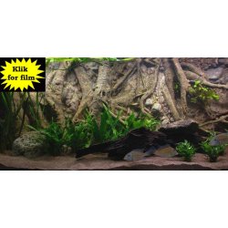 Fusion 900 L med RockZolid Forest Tree baggrund