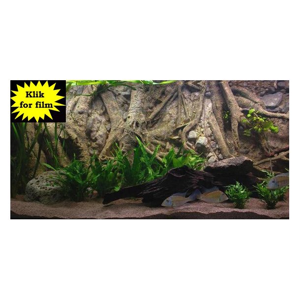 Move 720 L med RockZolid Forest Tree baggrund