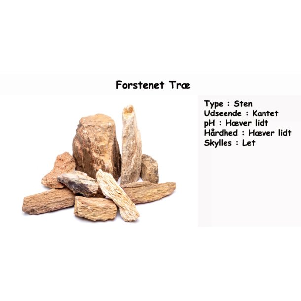 Forstenet tr