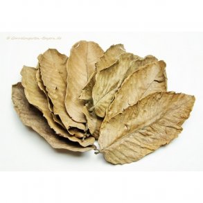 PowerNature - Guava blade, 10 stk