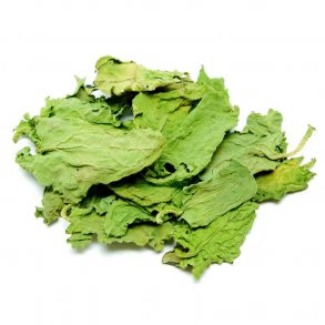 PowerNature - Spinat blade, 10 stk