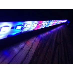 Aqualight Ledlys, Hvid/Rd, 51 cm