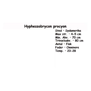 Hyphessobrycon procyon