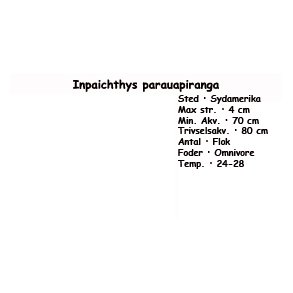 Inpaichthys parauapiranga