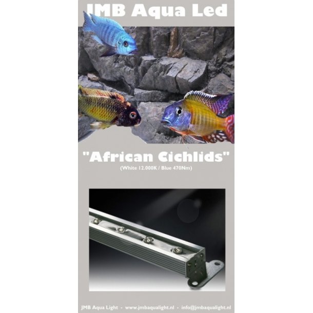 JMB Aqualight Led, 124 cm, 36W, kold hvid/bl (5/1) V.2.0