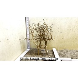 Katala Scaper Tree (WYSIWYG)
