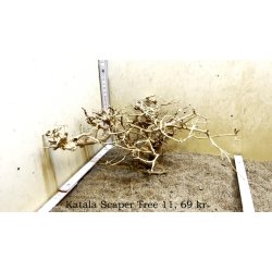 Katala Scaper Tree (WYSIWYG)