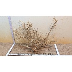 Katala Scaper Tree (WYSIWYG)