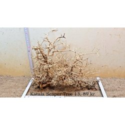 Katala Scaper Tree (WYSIWYG)