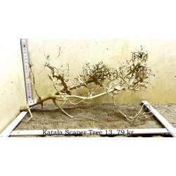 Katala Scaper Tree (WYSIWYG)