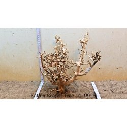 Katala Scaper Tree (WYSIWYG)