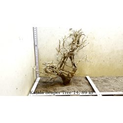 Katala Scaper Tree (WYSIWYG)