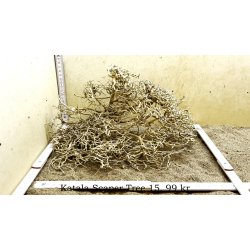 Katala Scaper Tree (WYSIWYG)